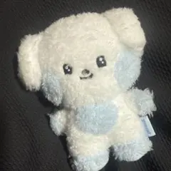 ZB1 gyunini zeroni mini plush ぬいぐるみ