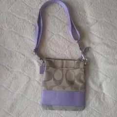 Item thumbnail for item d23da0cc-d60d-4f9f-8b6b-2498f3de4ebc