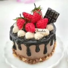 No.E49 ドリップ　苺盛り沢山　チョコレートデコレーションケーキ