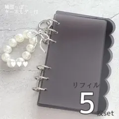 クリアバインダー 透明 雲 ブラック パール キーホルダー 家計管理 韓国っぽ