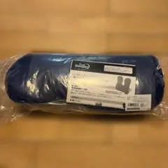 トゥルースリーパー 腰らくクッション 新品未開封