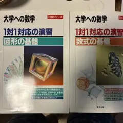 大学への数学 1対1対応の演習 数式の基盤 図形の基盤 - メルカリ