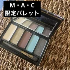MAC限定パレット　アイシャドウ
