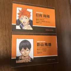 ハイキュー　日向.影山 名刺カードコレクション