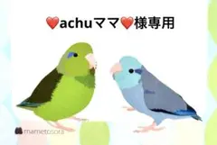 ☆クリスマススワッグ☆2025☆専用☆