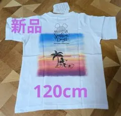 Item thumbnail for item ef0d6ddc-c9d6-46e2-bcbf-5b1298d89bac