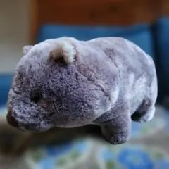 生産終了　サンレモン　キジトラ　ひよこ　白うさぎ　メルカリのみ出品 生産終了 サンレモン キジトラ ひよこ 白うさぎ メルカリのみ出品 生産