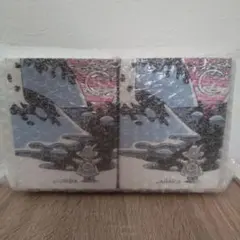 ムーミンの日　2021 限定　アラビア　ムーミン　マグ　マグカップ　2