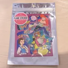 【新品・未使用】ディズニープリンセス/ステッカーセット
