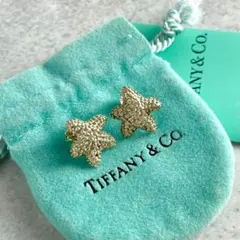 ル*ト様 Tiffany & Co.ティファニースターフィッシュ星ブローチ 92 ル*ト様 Tiffany & Co.ティファニースターフィッシュ星ブローチ 92