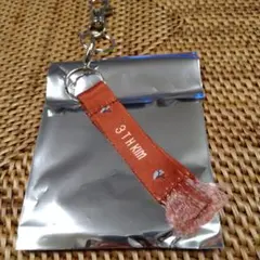 【ブラインド】鹿島アントラーズ　マフラー風キーホルダー