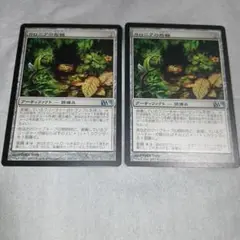 未使用品　MTG 2枚 カロニアの指輪