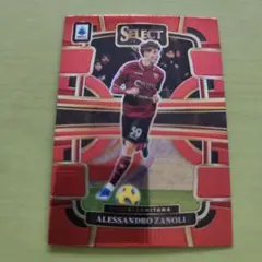 select alessandro zanoli アレッサンドロ　ザノーリ