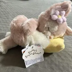ディズニー リーナベル Duffy's Sweet Dreams ぬいぐるみ