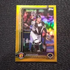 Item thumbnail for item 500cb591-7773-4a2f-afab-1eb8822810cb