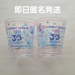 ディズニー 30周年 summer splash スーベニアカップ ２つセット