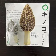 2025年最新】アミガサタケの人気アイテム - メルカリ