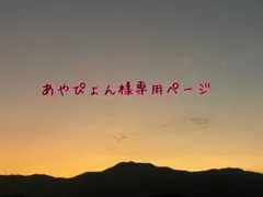 あやぴょん様専用ページ