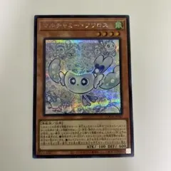 遊戯王　マルチャミーフワロス　シークレット　アジア 状態A-〕☆アジア☆マルチャミーフワロス【シークレット】{アジアLOCH
