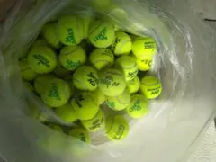 Item thumbnail for item b3294623-aca7-4ca9-9329-4704938264ee