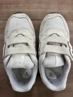 Item thumbnail for item 5b7f504b-36e7-461b-b075-1334d33860b7