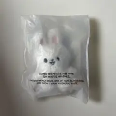 2026年最新】straykids ペンミ マイクロキーリングの人気アイテム