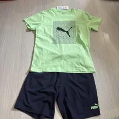 新品　プーマ　ルームウエア　パジャマ　160cm 上下セット Tシャツ　半パン