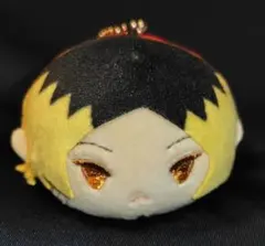 ハイキュー 孤爪研磨 もちころりん