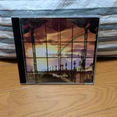 V系　Megaromania Transparent Shine