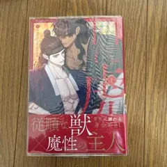 2026年最新】今日だけを生きる兄弟の人気アイテム - メルカリ