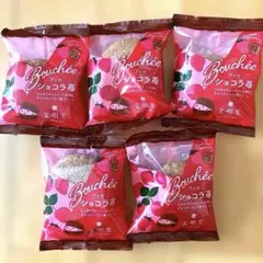 文明堂　ショコラ苺ブッセ