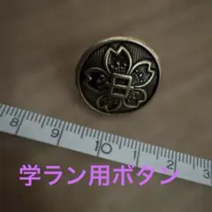 ②中学生　学ランボタン　1個