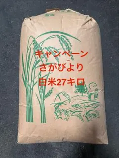 激安 早い者勝ち さがびより 5kg×2袋 計10kg 白米 - メルカリ