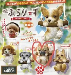 ぶらぶらりーず 第4弾 パグ ガチャ マスコット【新品未使用】