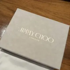 JIMMY CHOO 箱・保存袋セット
