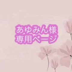 あゆみん様専用ページ