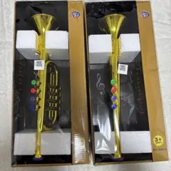 Item thumbnail for item 635c9654-acc5-4628-bc99-a8abec3330b3