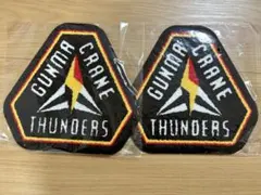 群馬クレインサンダーズ　缶バッジ　18個セット ゴールデンキャッスル on X: 