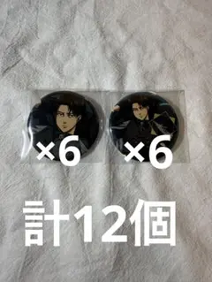 進撃の巨人 リヴァイDignified 缶バッジ 12個セット