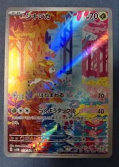 2026年最新】シキジカarの人気アイテム - メルカリ