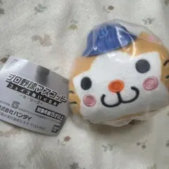 スターマン 専用です