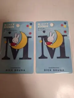 Item thumbnail for item d1ebff87-87c4-4d55-803d-957324953026