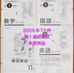 バレリーナまとめ買い商品 進研模試7月11月高1 頭の体操！！高1数学❖7月進研模試❖ベネッセ総合学力記述模試