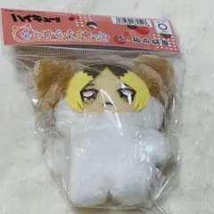 ハイキュー‼︎ちみけもますこっと 孤爪研磨