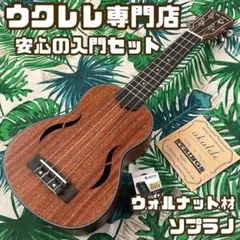 入門セット】music:ローズウッド材のコンサート・ウクレレ【ウクレレ