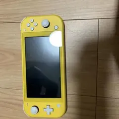 Switch lite