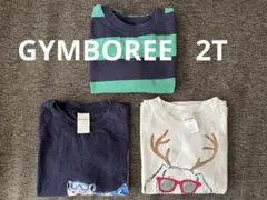 GYMBOREE(ジンボリー)長袖Tシャツ 3点セット(2T)