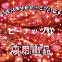 ピーナッツ様　専用出品ページ