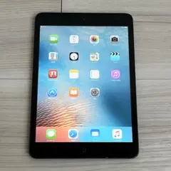 ジャンク品 Apple iPad mini 初代 第一世代 16GB