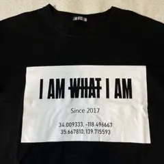匿名配送＊新品未使用 I AM WHAT I AM パーカー青 匿名配送＊新品未使用 I AM WHAT I AM パーカー青 2025年最新】